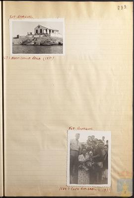 T2 247